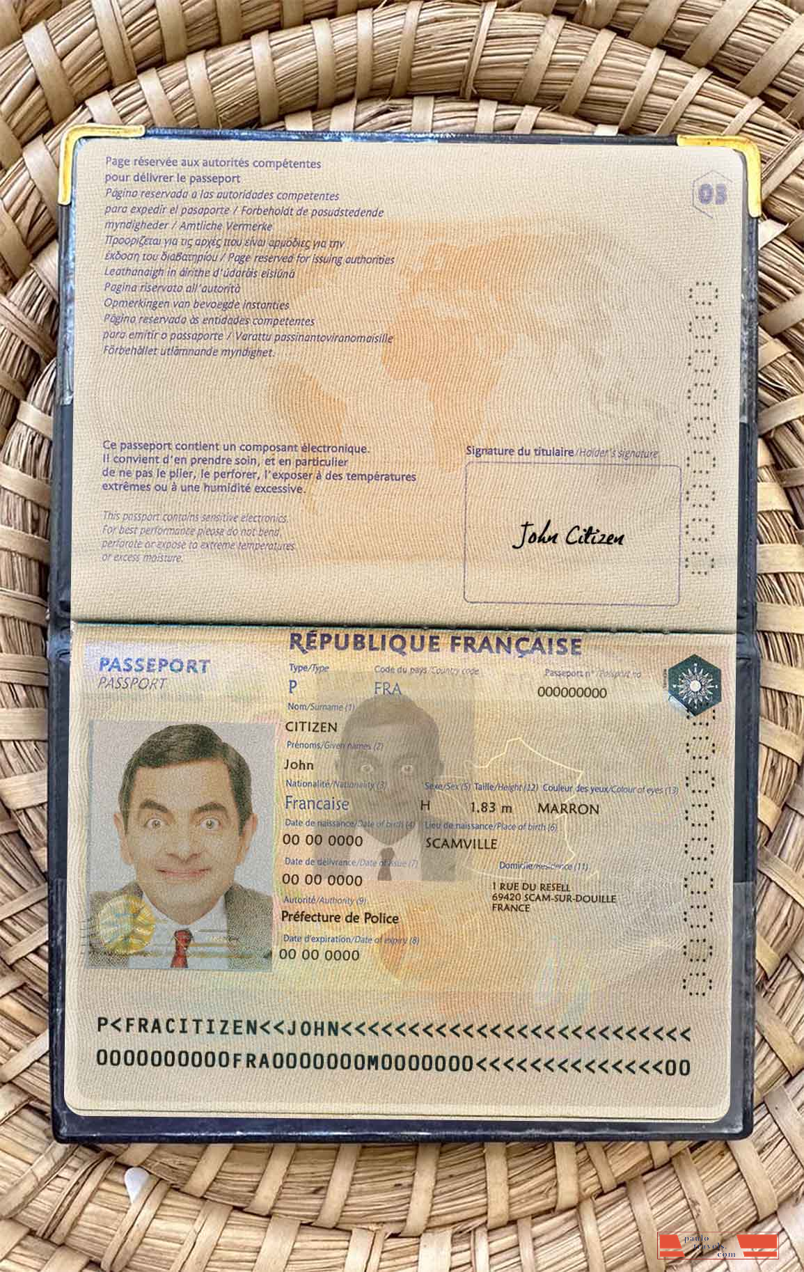 France passport version 2 photo look PSD template